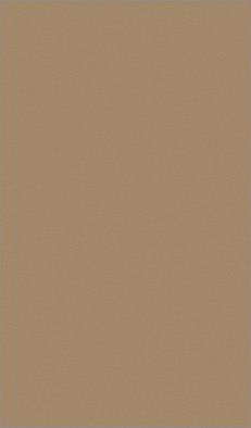 Ковер LANA T600 DARK BEIGE